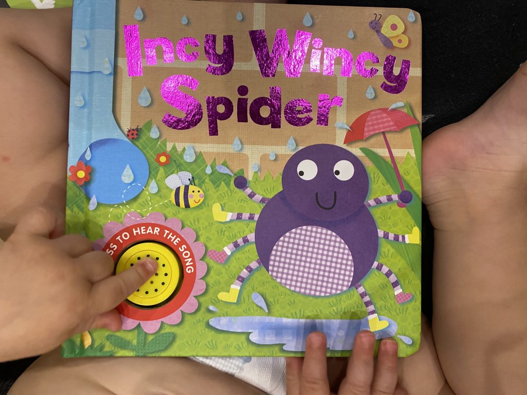 Incy Wincy Spider book